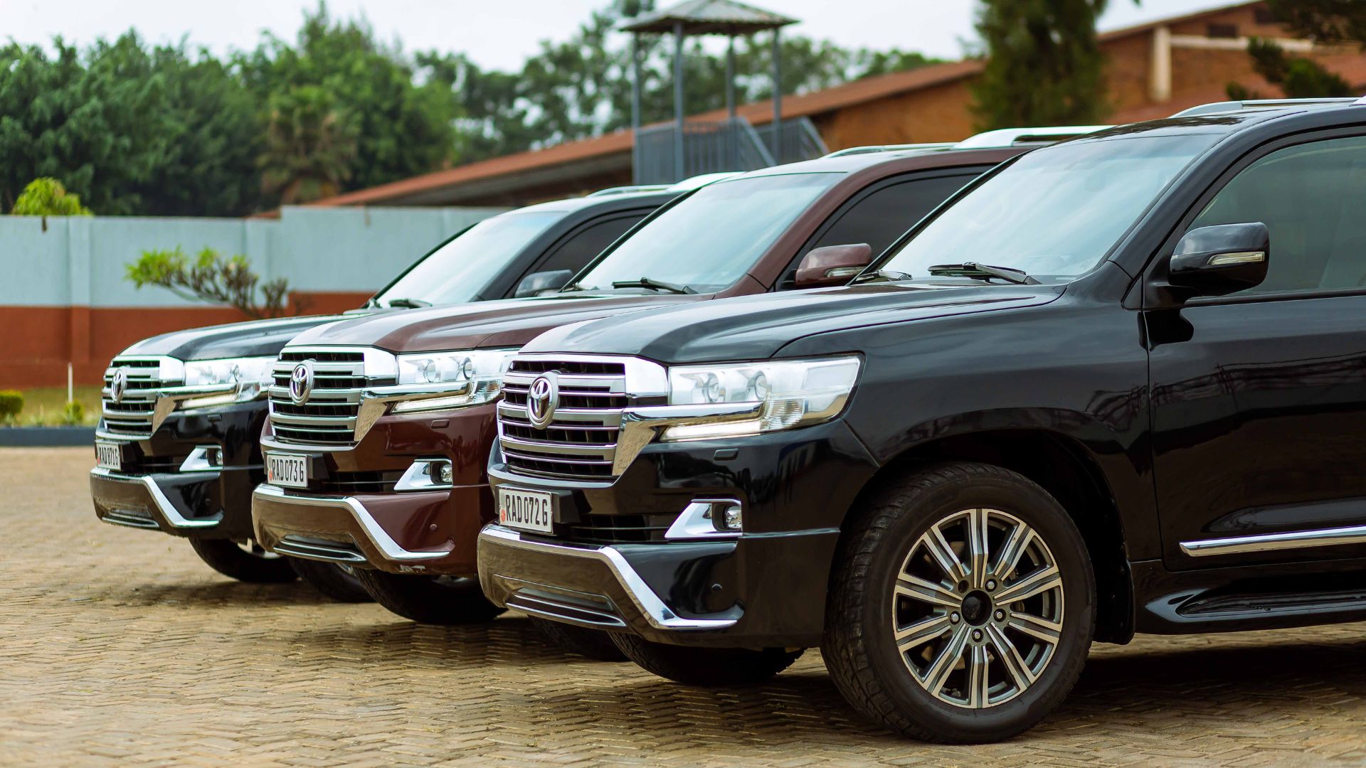 Cleo Pradox mobility, transport and travel services